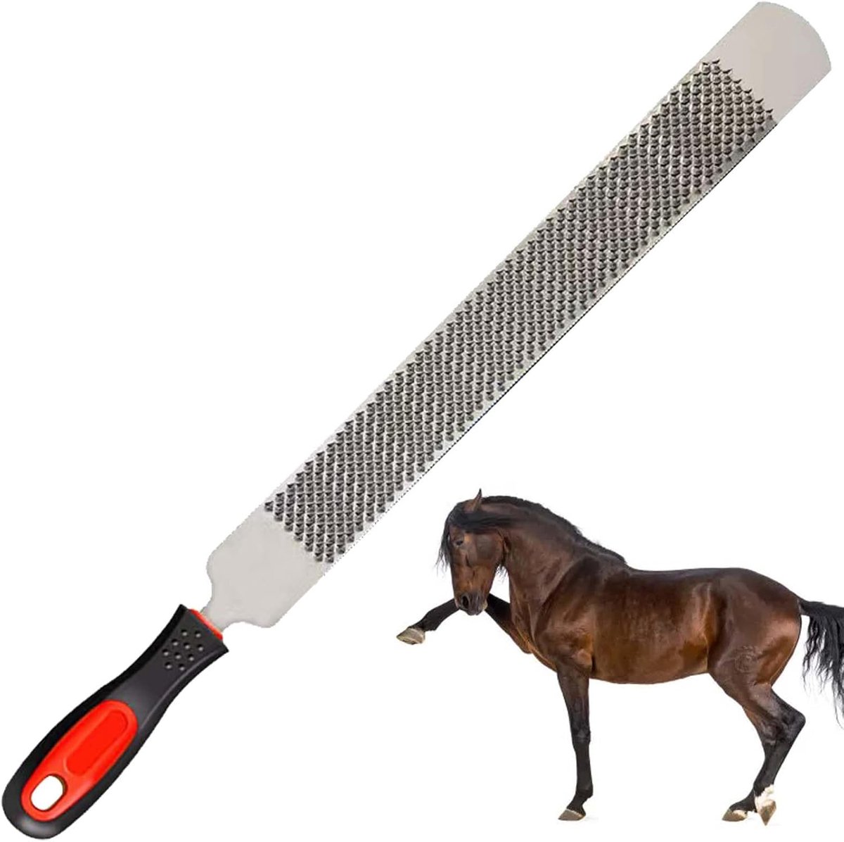 8 inch paardenhoefrasp, hoefijzervijl van koolstofstaal, dubbelzijdige hoefrasp met handvat, ronde kop hoefsmid-hoefraspgereedschap, paardenhoefvijl hoefverzorging voor paarden