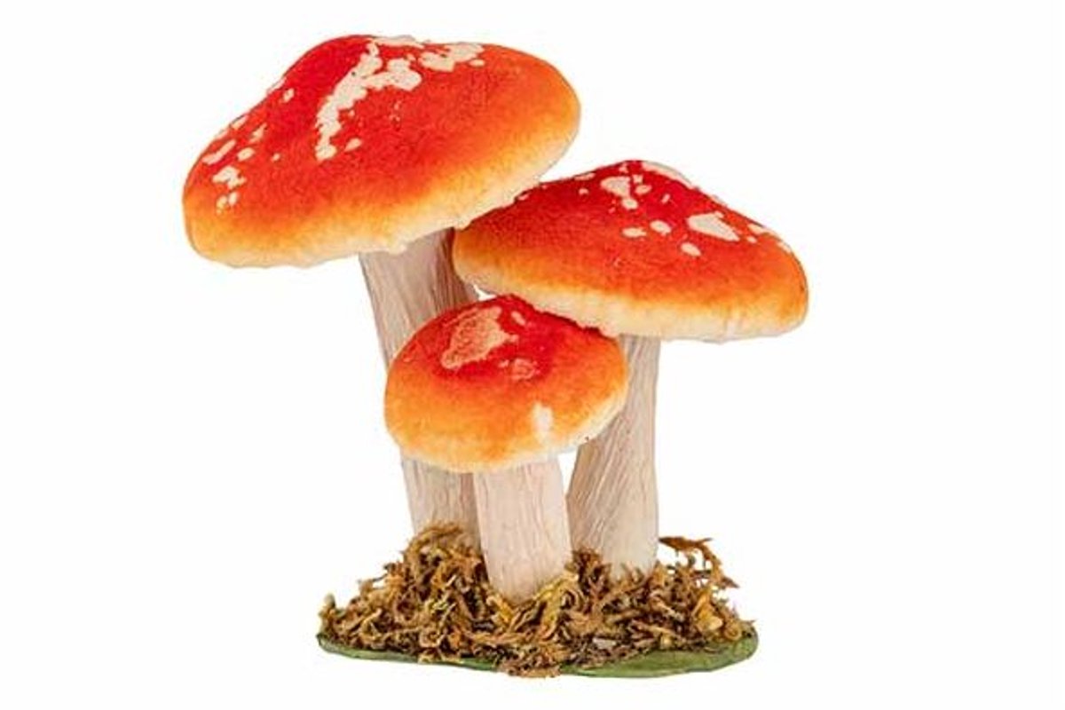 Paddenstoelen Oranje 12x8,5xh12cm Fluwee L