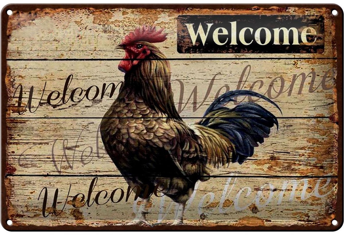 Blechschild Hinweis 20x30 cm Welcome Hahn Deko Schild