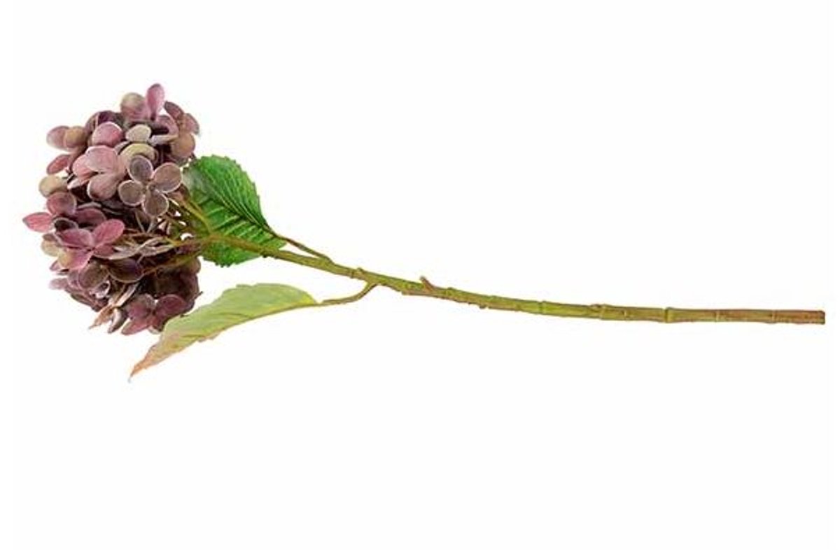 Tak Hydrangea Bordeaux 12x12xh55cm Kunst Stof