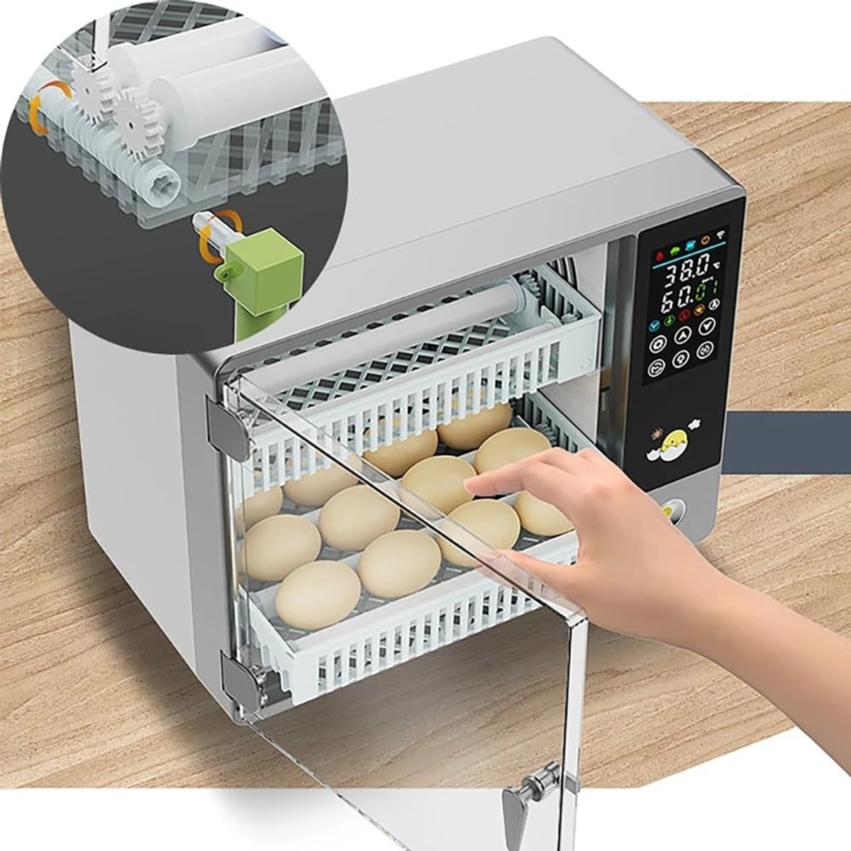 NEWFUN Fully Automatic Incubator 24 Eggs Intelligent Temperature Control Touch Screen with Automatic Rotation System - ShopVlot
