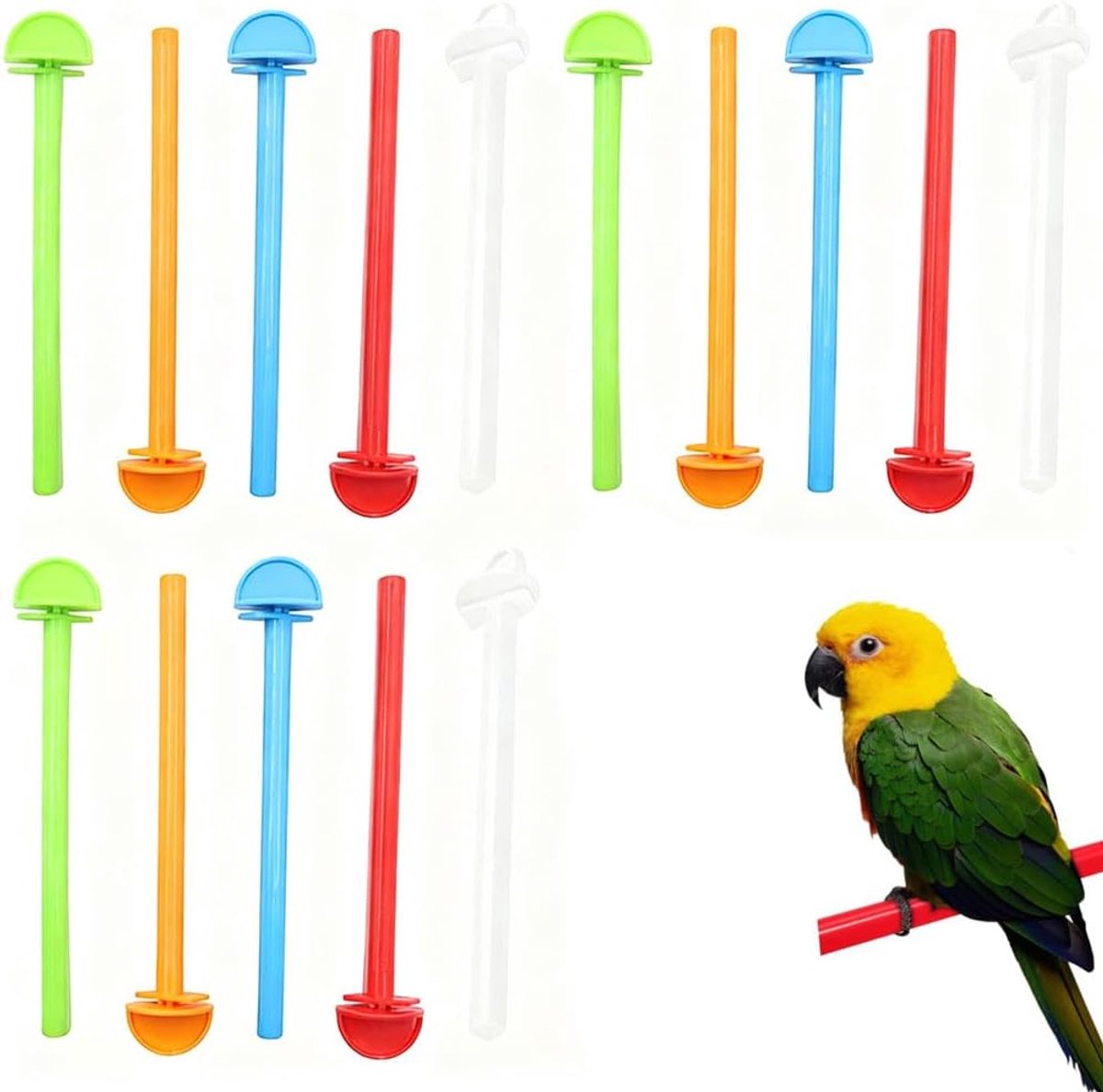 Set of 12 Bird Perches, Bird Sticks, Bird Accessories, Parakeets, Canary, Cockatiel - ShopVlot