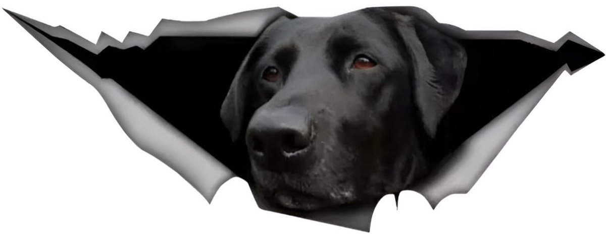 Solidchoice - Reflecterende Labrador Auto Sticker