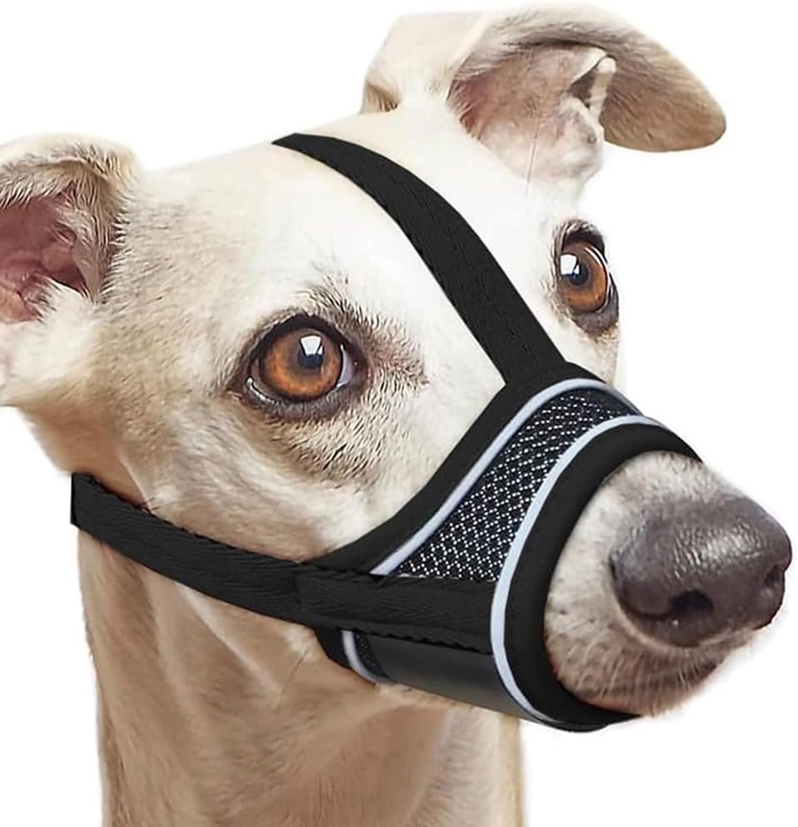 Hondentuig Ademend met Verstelbare Leash voor Kleine, Middelgrote en Grote Honden - Mesh - Comfortabel en Veilig - ShopVlot