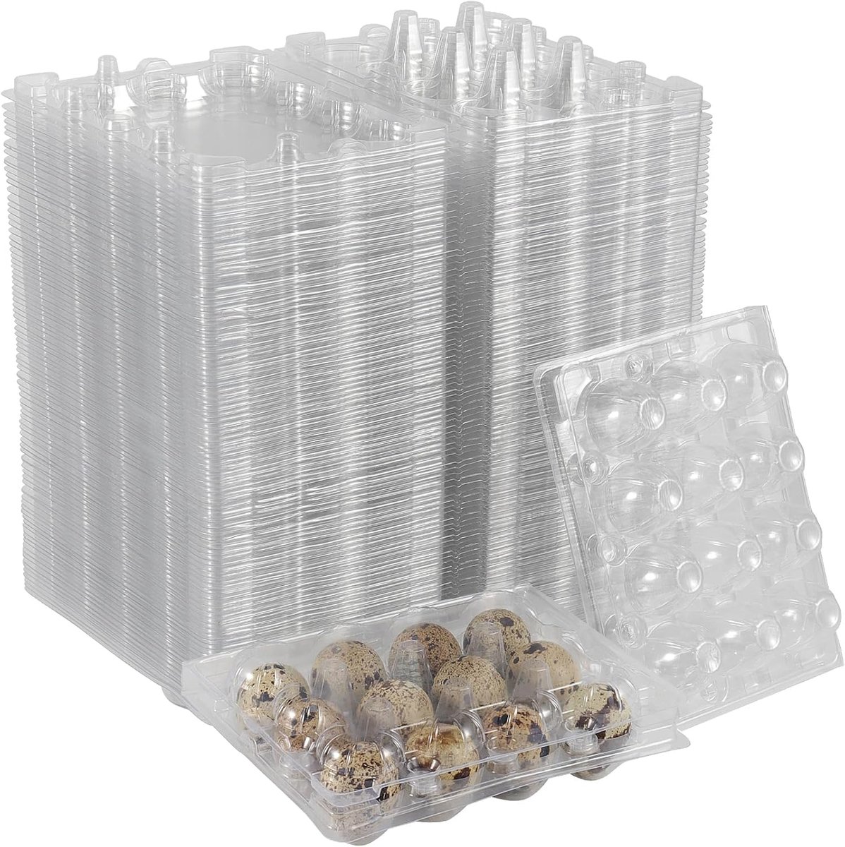 50pcs quail egg boxes 12pcs plastic egg boxes, transparent quail eggs boxes for packaging - ShopVlot