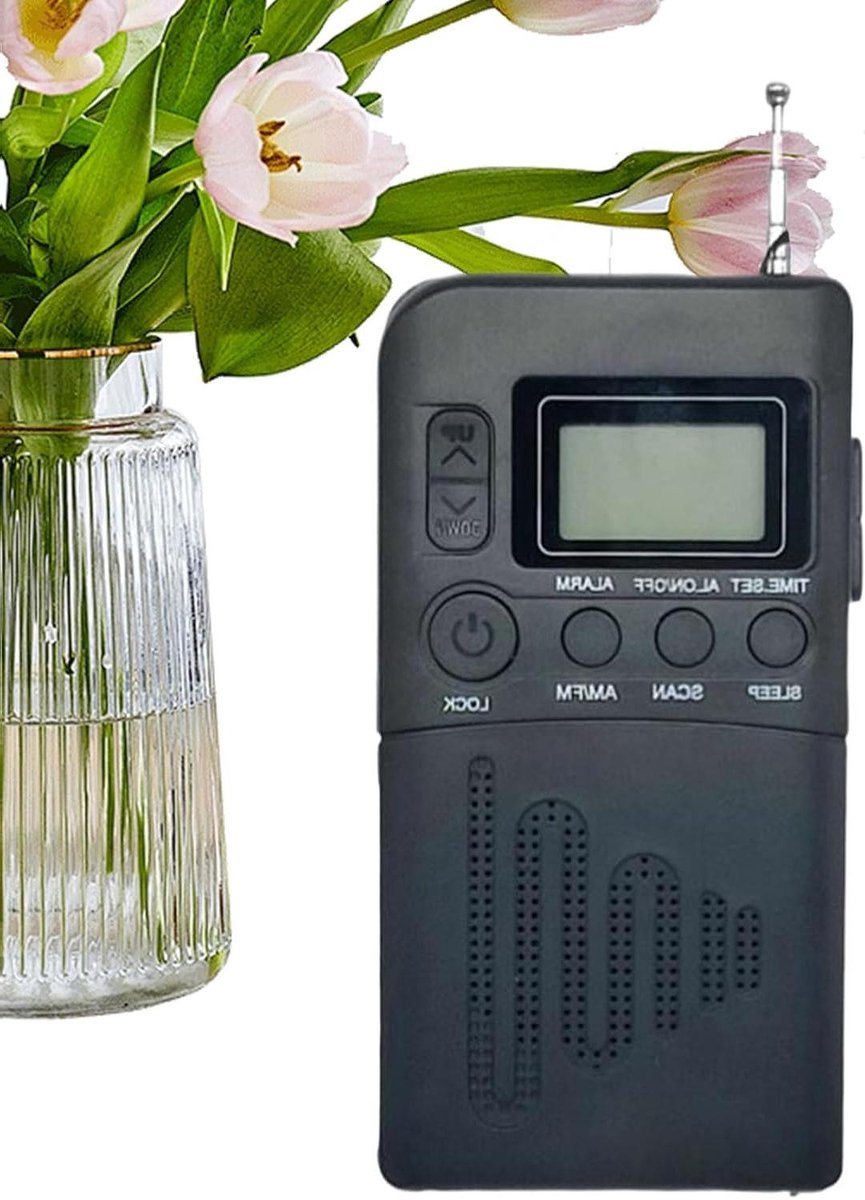 Zakradio AM FM - Compacte Radio Transistor - Muziek Luisteren Buiten - Geavanceerde Anti-interferentiechip - 12x6.2x1.9cm - Zwart