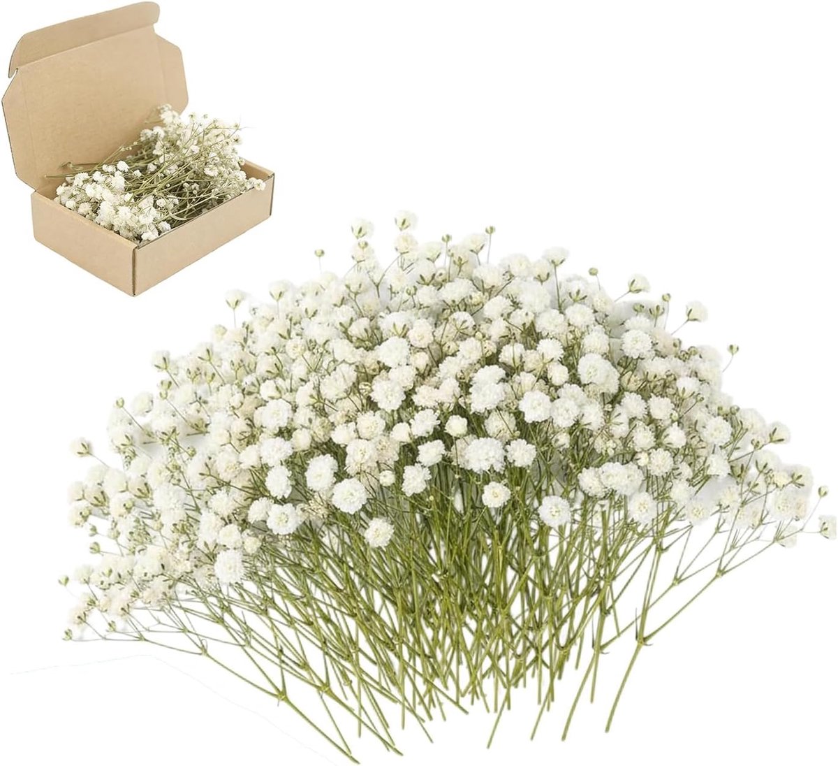 Gypsophila kunstbloemen, gedroogde bloemen voor knutselen, wit (100 stuks) - ShopVlot