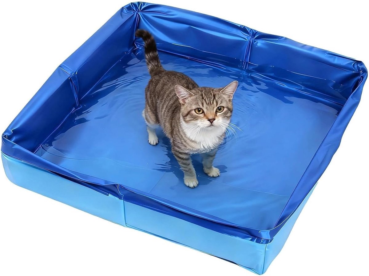 Foldable Dog Pool, Square Paddling Pool for Small Dogs and Cats, 50 x 50 x 10 cm, Portable Pool for Kittens and Small - ShopVlot