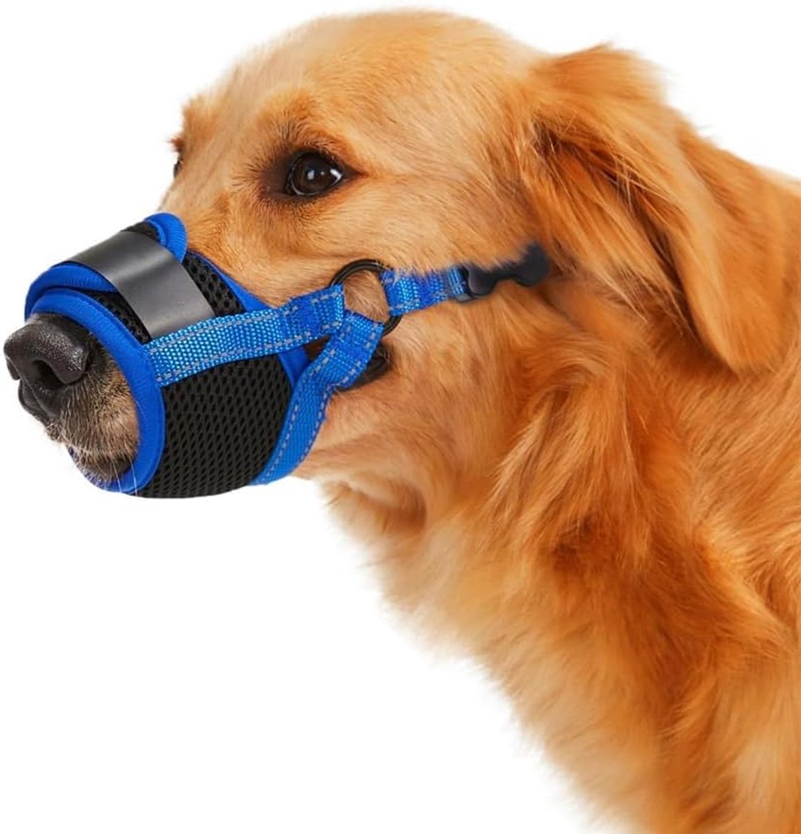 Muilkorf voor honden S - ademend mesh - verstelbaar en comfortabel - ideaal voor training - ShopVlot