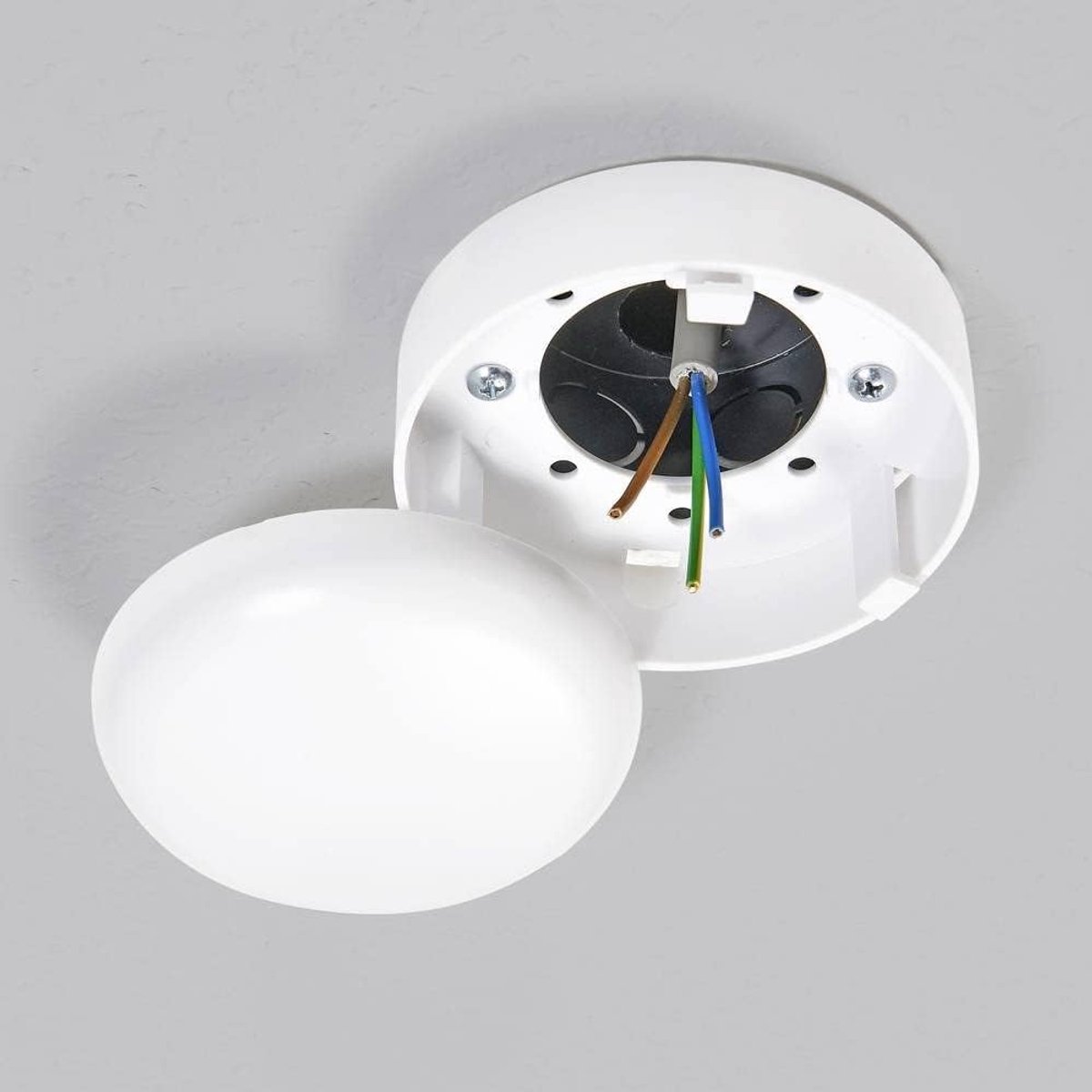 Ceiling box 100 mm x 46 mm - distributiekast - eenvoudig te installeren - perfect voor elektrische aansluitingen - ShopVlot