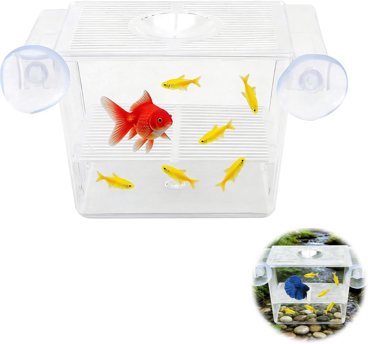 Kweekbox voor vissen - transparant acryl - met zuignappen - ideaal voor guppy en betta - ShopVlot