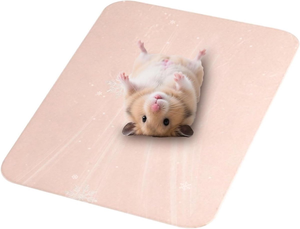 Verkoelende Mat Hond - Zomerbed Aluminium - Huisdier Koel Houden - Directe Warmte Absorptie - 31x21 cm - Roze