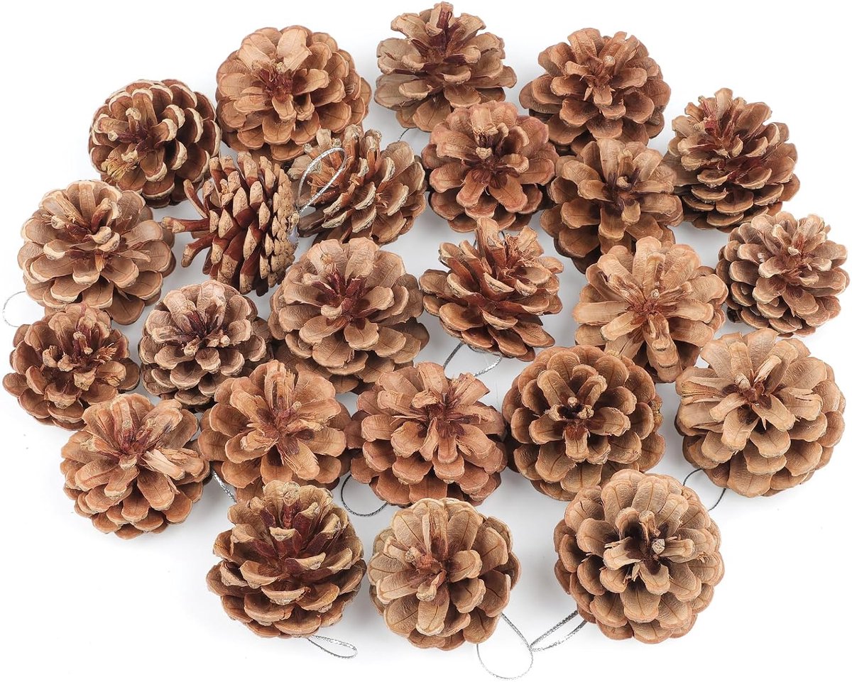 24 Pieces Pine Cones for Crafts, 5 cm Pine Cones with Silver Lanyard, Pine Cones for Christmas Tree, Winter Decoration - ShopVlot