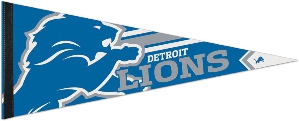 WinCraft Detroit Lions Big Logo Premium NFL Pennant - ShopVlot