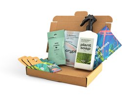 Kamerplanten pakket (3 stuks)