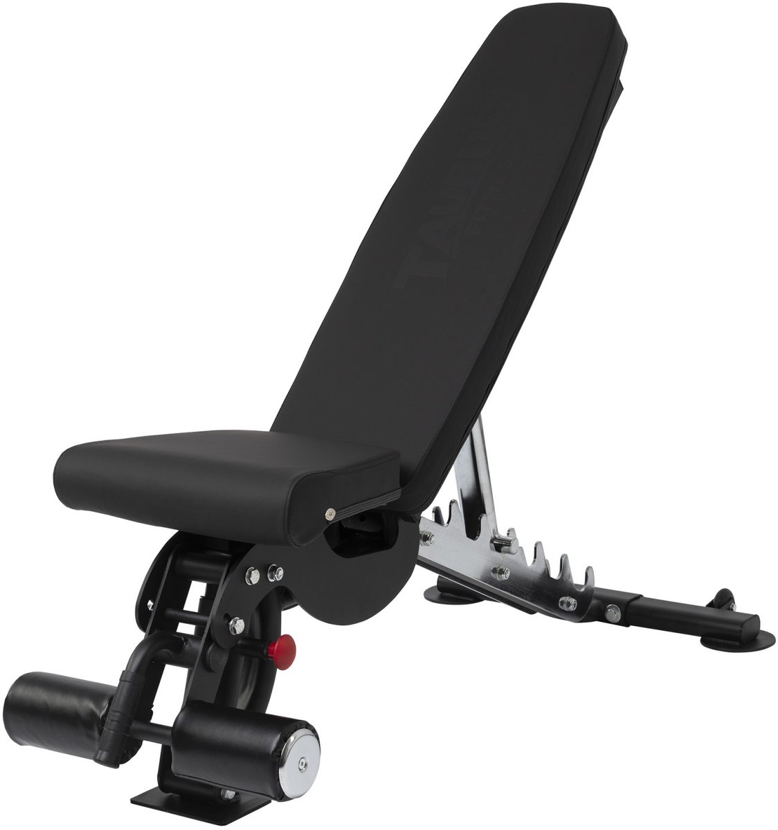 Taurus Studio Halterbank B950