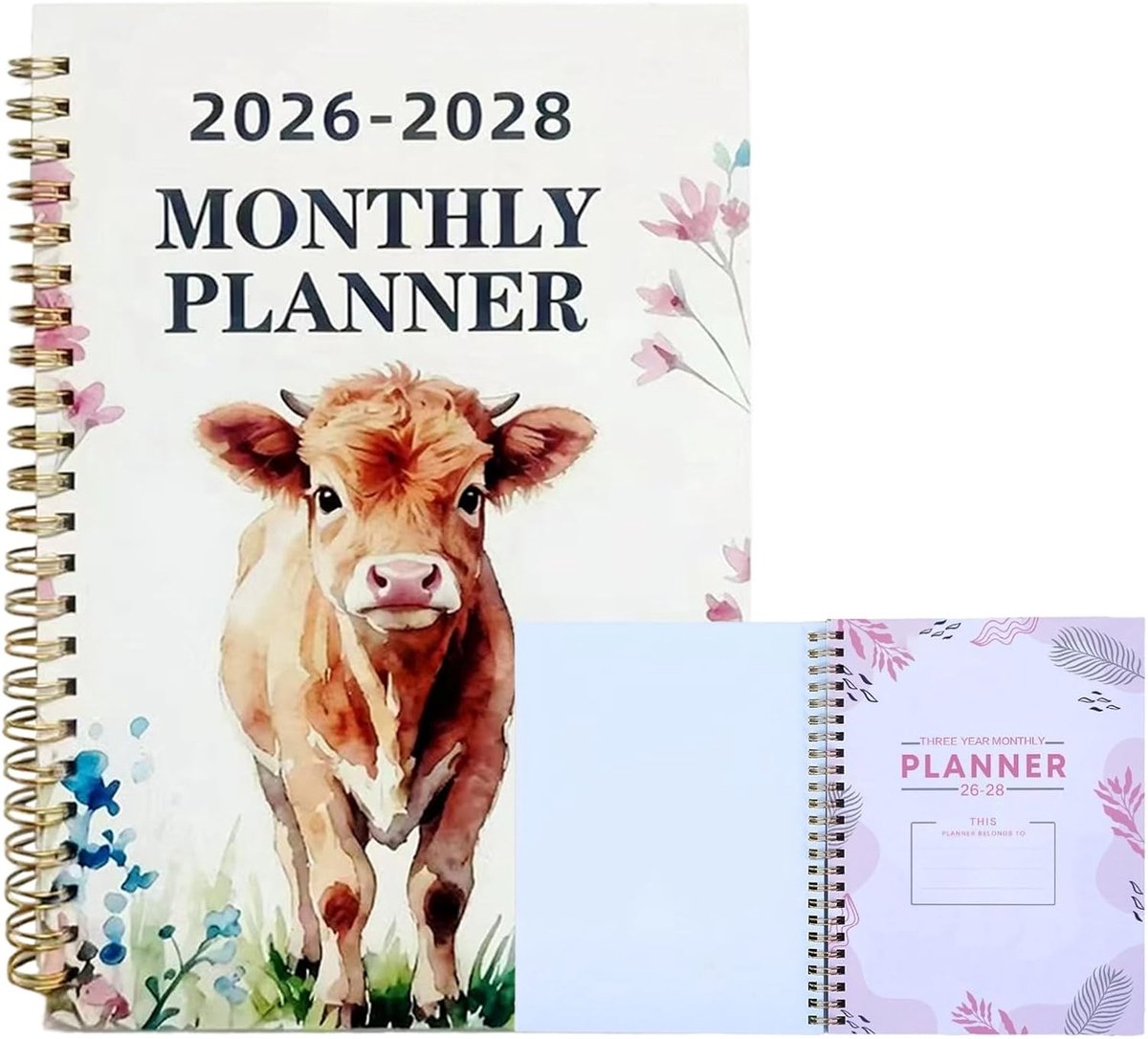 Maandplanner 3 Jaar - Planningsdagboek Jaaroverzicht - Productief Plannen - Driemaandelijkse Lay-out - 21 x 14 cm - Uniek