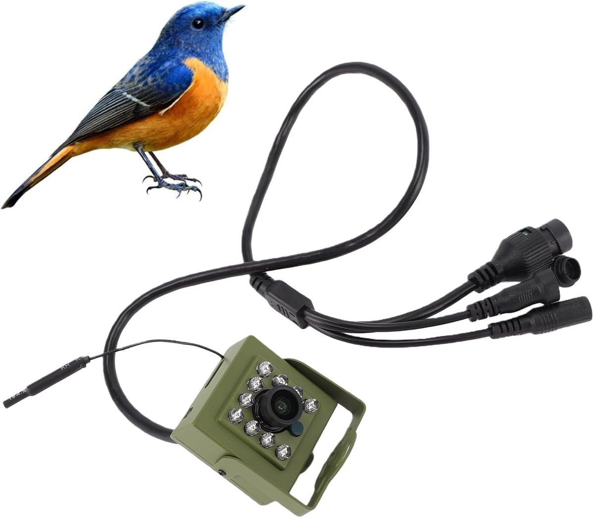 Vogelvoedercamera - Aluminium - HD Nachtzicht - Bewegingsdetectie - Voor Buiten