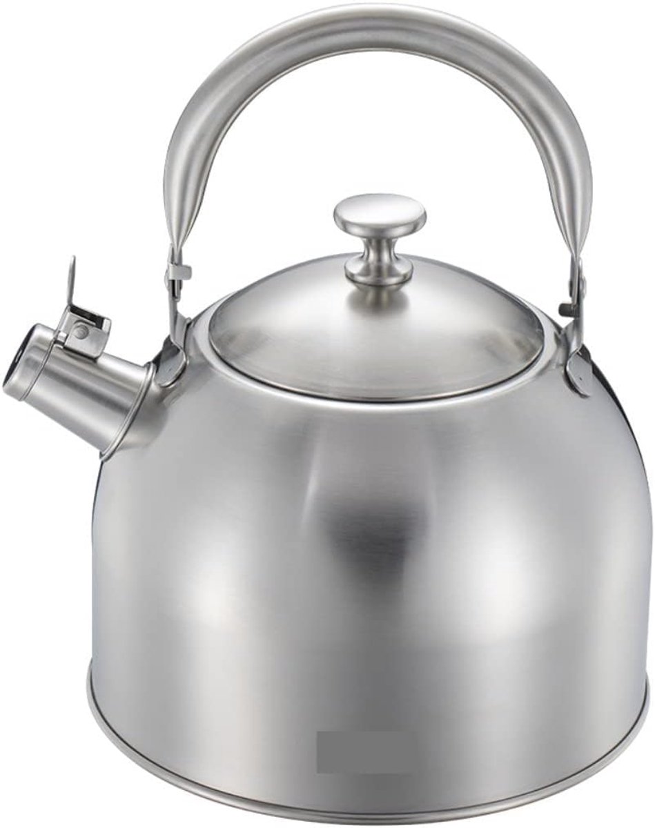 Waterketel - Theepot Roestvrijstaal - Water Koken - Automatische Uitschakeling - 3.5 Liter - Zilver