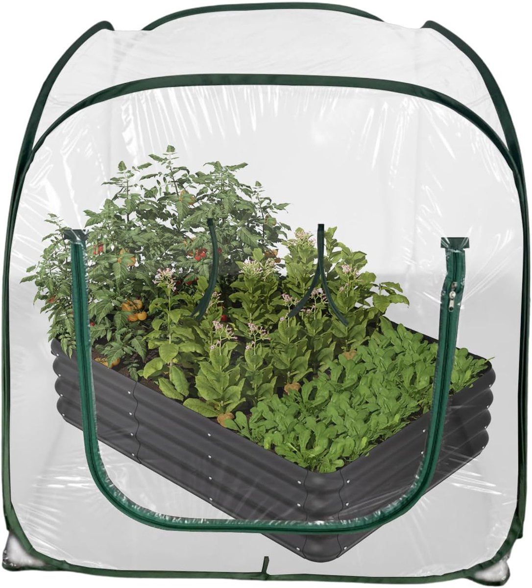 Opvouwbare Plantenkas - Mini Serre Tuin - Planten Beschermen - Gereedschapsvrije Montage - 98x98x98 cm - Transparant