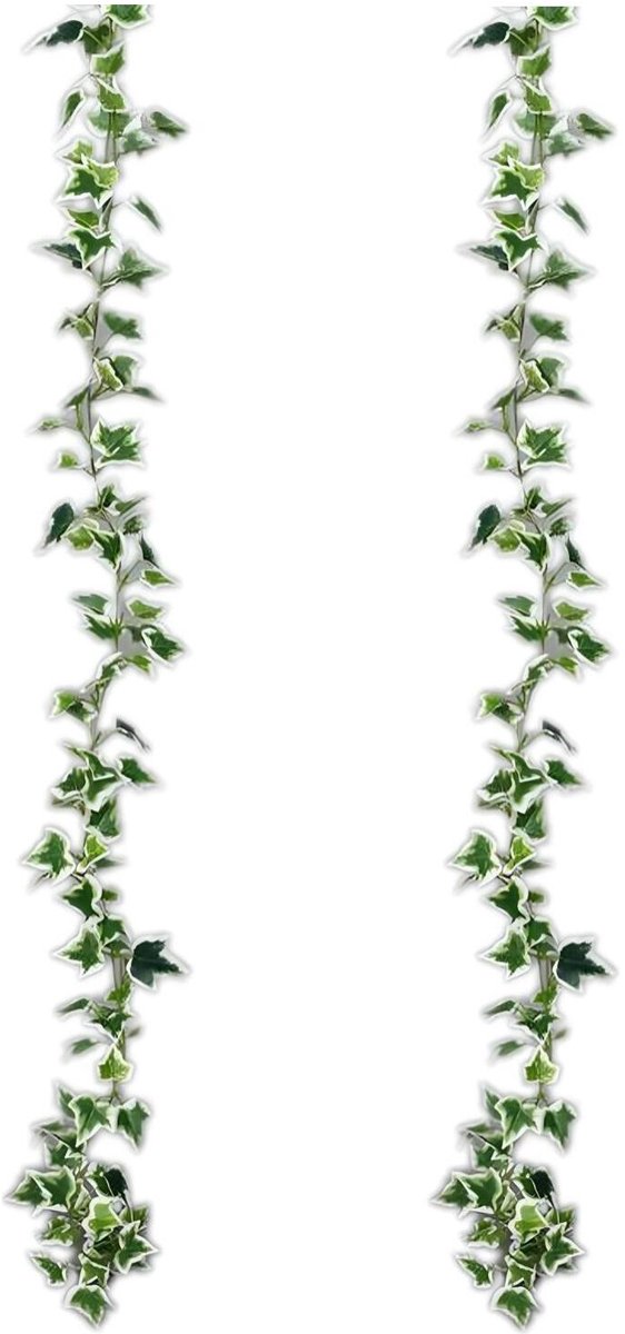Mica Decorations Kunstplanten Hedera Slinger - 2x - 179 x 11 cm - groen/wit - kunststof - decoratie - bladgroen