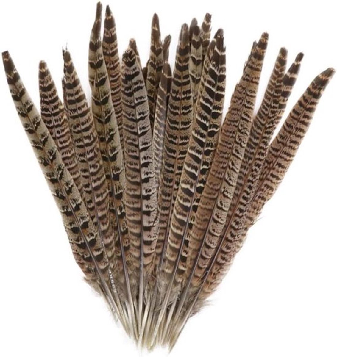 20 natuurlijke fazantveren Inovra Plus voor decoratie