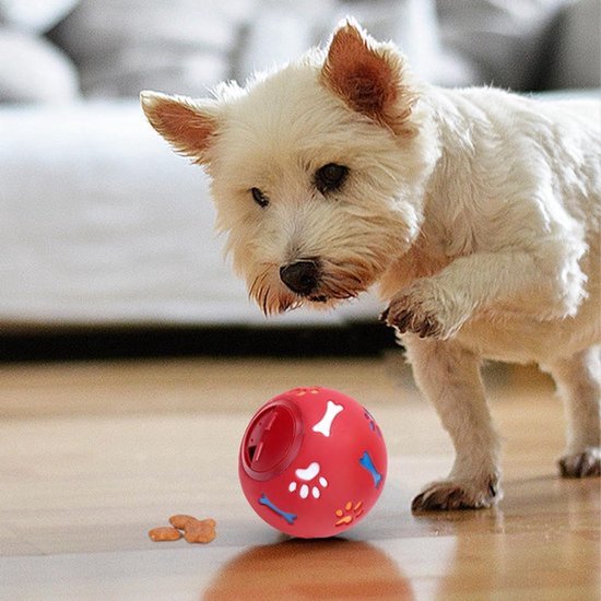 Een hond kijkt naar een rode bal met poot- en botafdrukken, met brokjes.