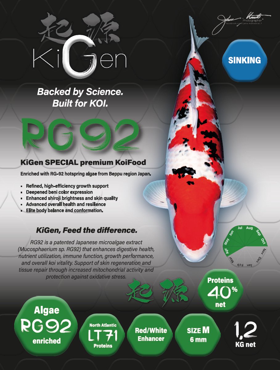 KiGen Koivoer RG92 Sinking 6mm 1,2 Kg