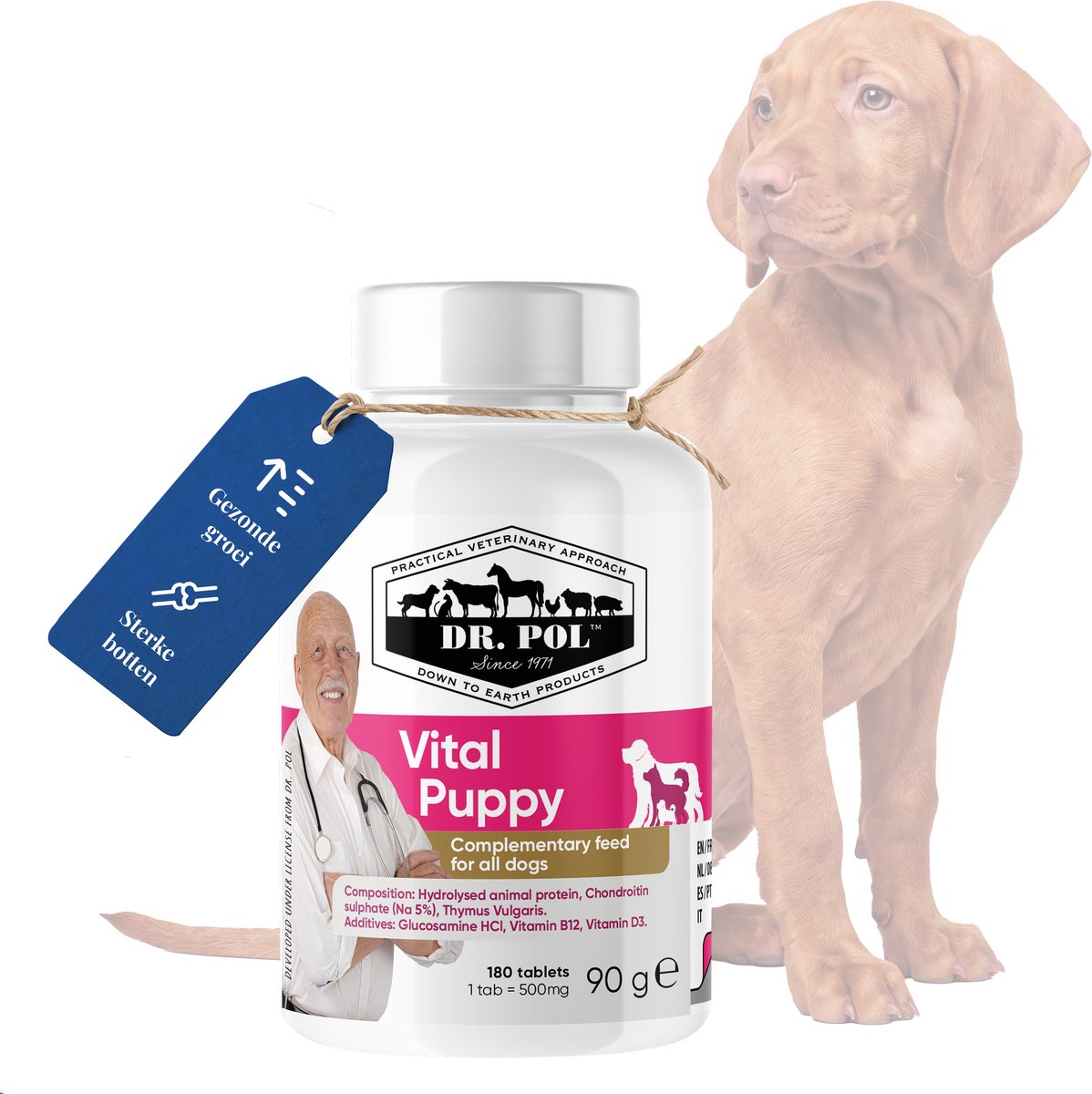 Dr. Pol Vital Puppy - Voedingssupplement voor Hond - Groei & Ontwikkeling - Met Biaminoée® en collageen type II en glucosamine - 90 g, 180 tabletten