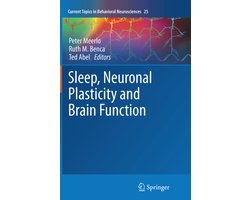 Sleep, Neuronal Plasticity and Brain Function