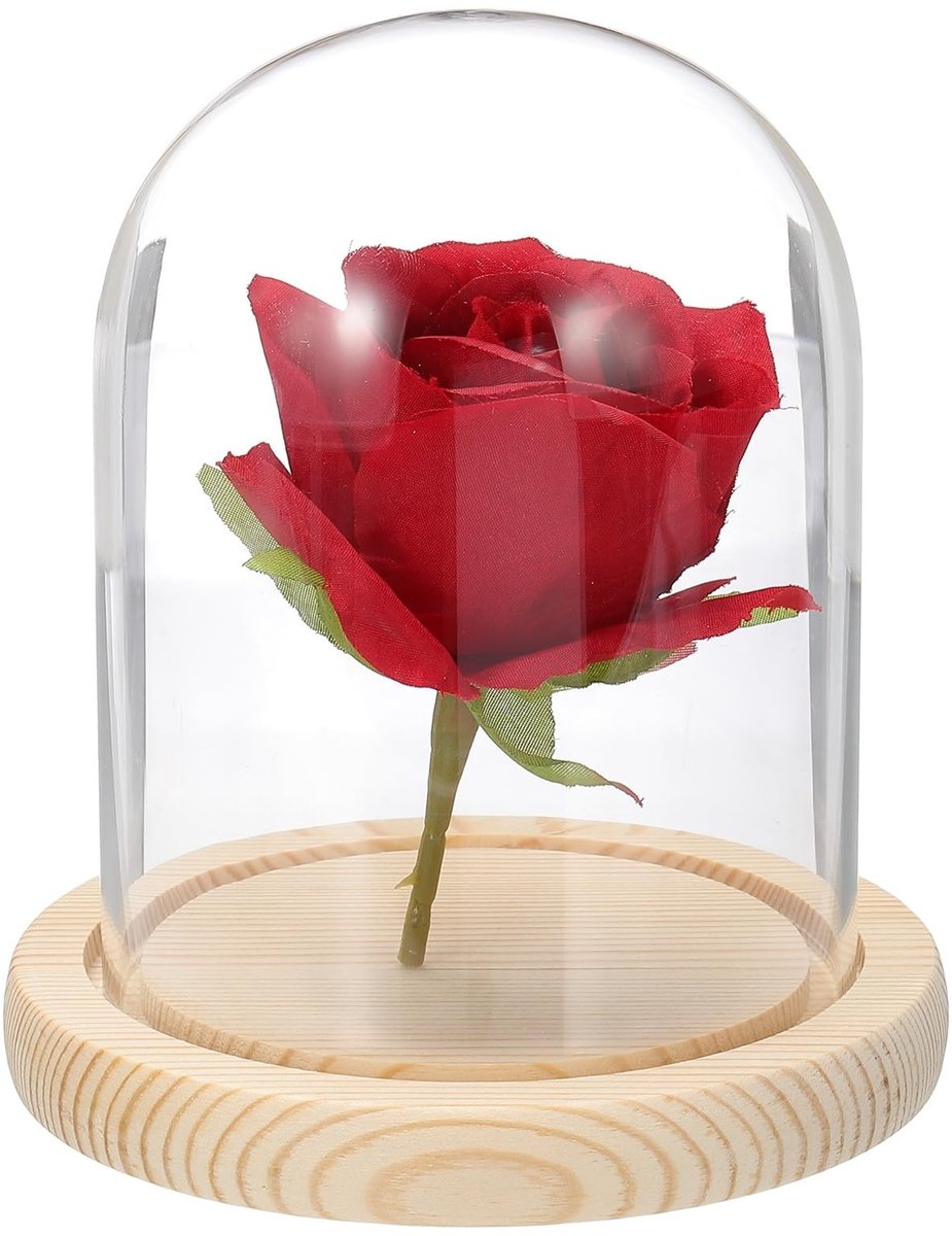 Solidchoice - Glazen Bel Vitrinekast met Houten Sokkel - Decoratie 13x10 cm
