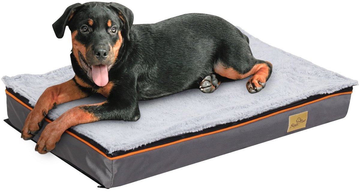 BingoPaw Orthopedisch Hondenkussen M (80x50x8cm) - Waterafstotend & Wasbaar Hondenbed voor 4 Seizoenen - Anti-Slip & Met Handvat - Grijs met Oranje Bies