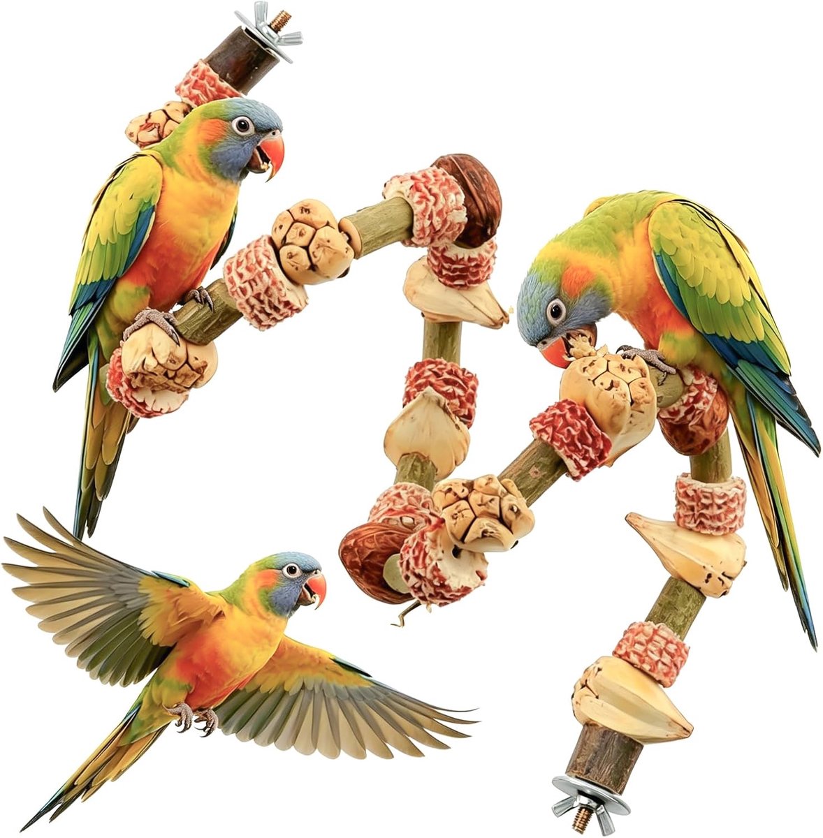Namajunas-zitstok vogel-vogel zitstok-vogelkooi accessoires-vogelkooi speelgoed-vogelkooi accessoires parkieten- ontwerp is deze accessoire geschikt als rustplaats én speelgoed voor verschillende kleine vogels.