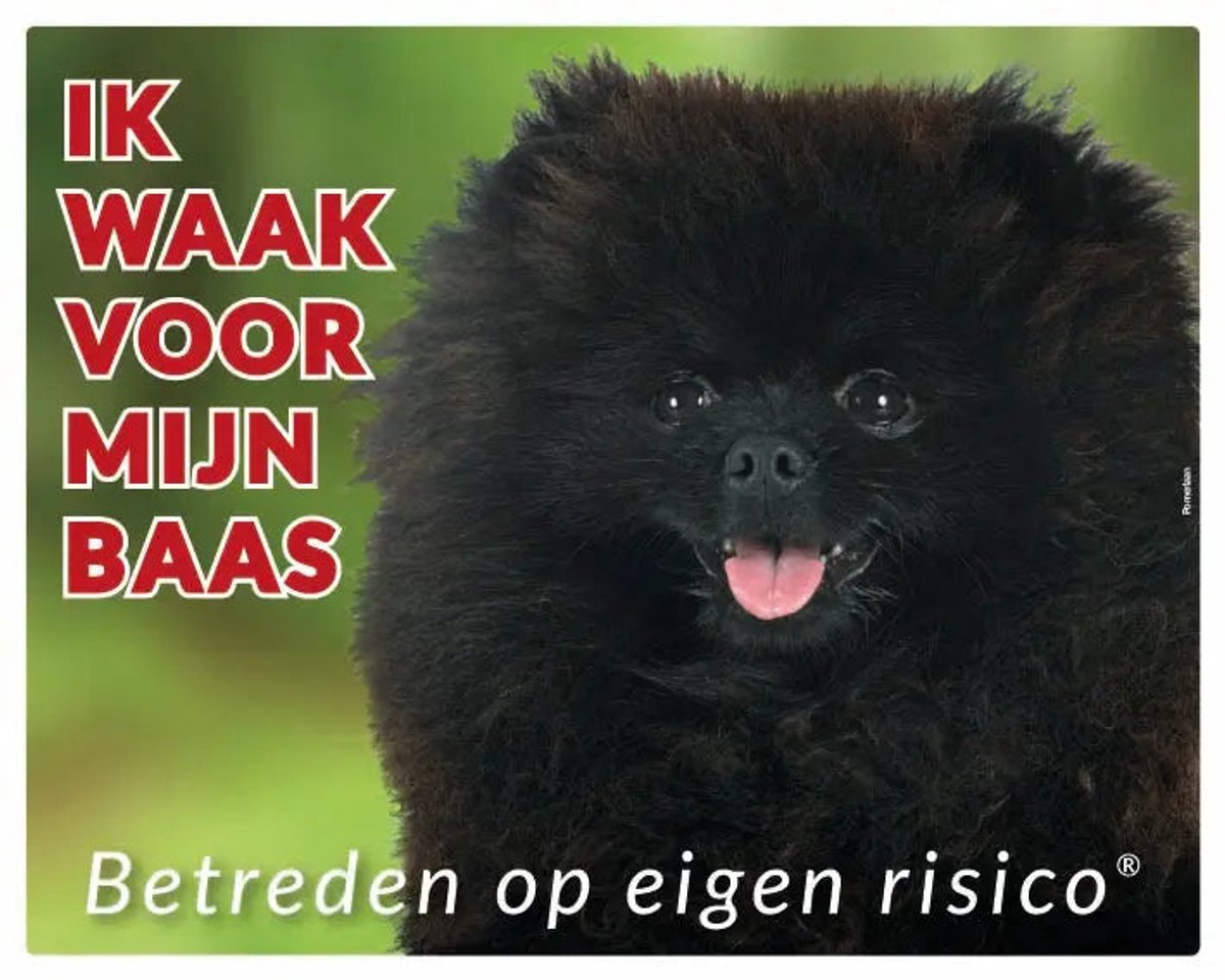 Pomeriaan Zwart Waakbord