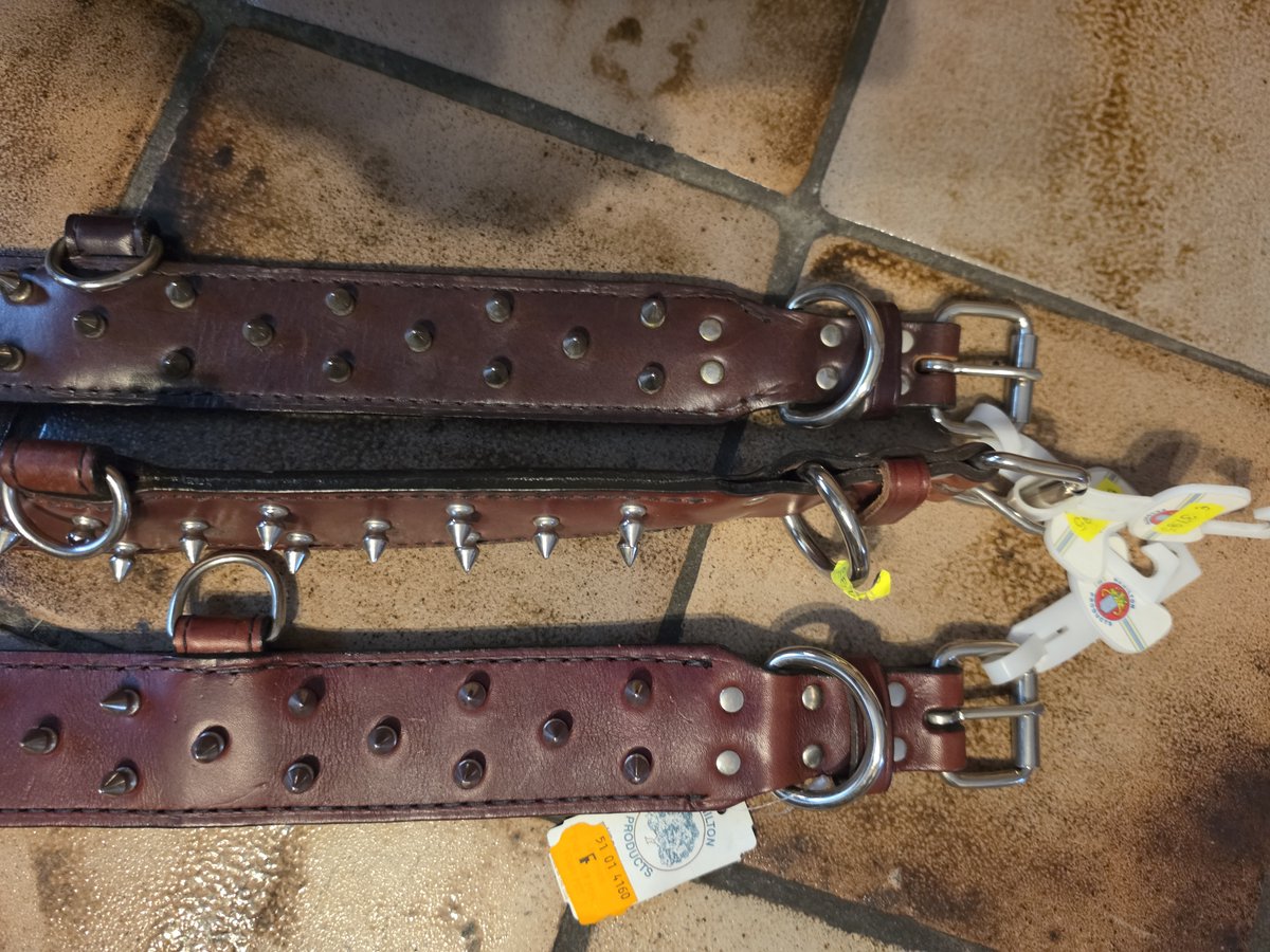 Hamilton Spike bulldog Halsband leer dubbel gestikt 60 mm,totale lengte 58 cm br 5 cm