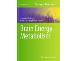 Brain Energy Metabolism