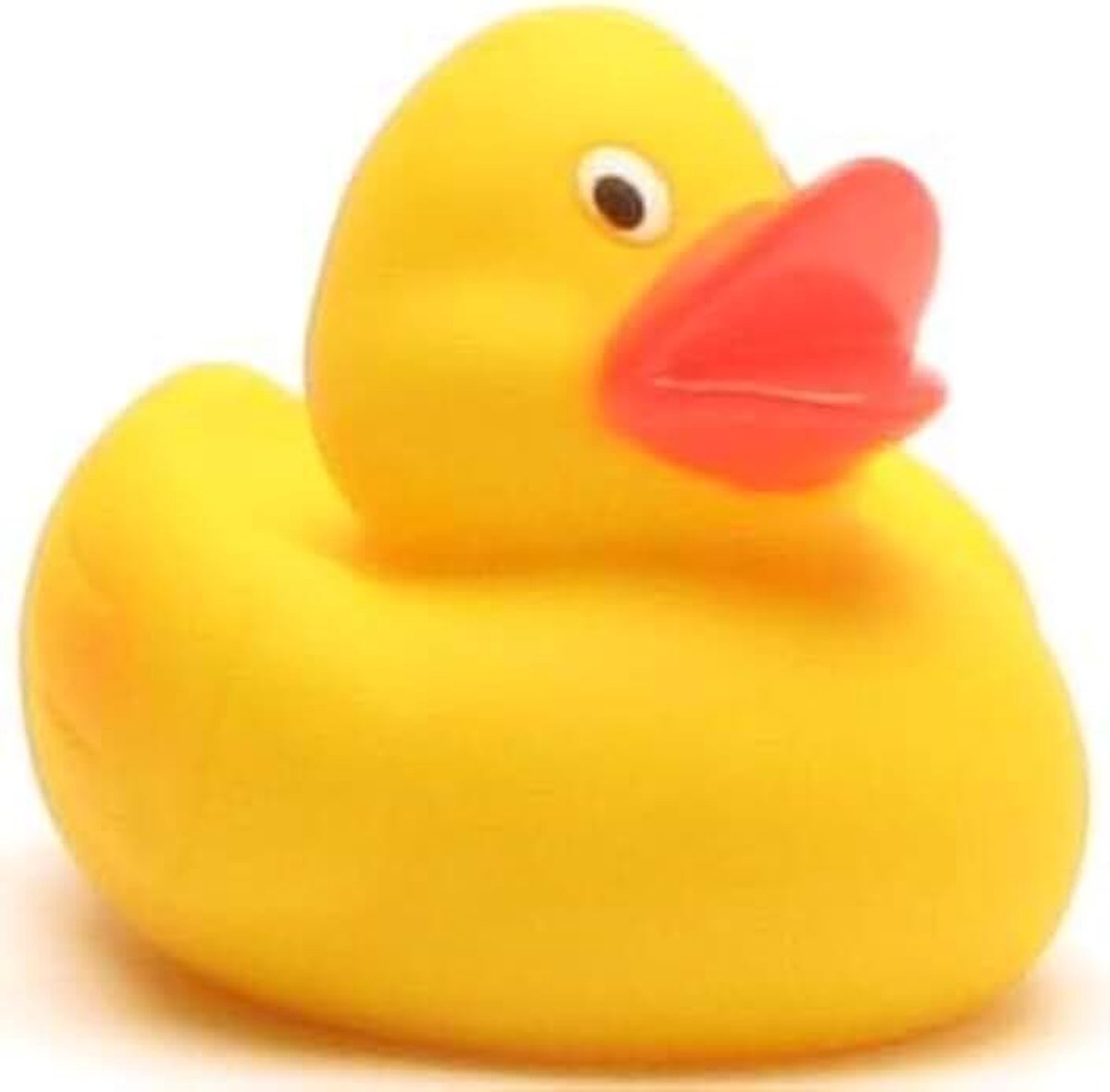 Duck Rainer - 7 cm