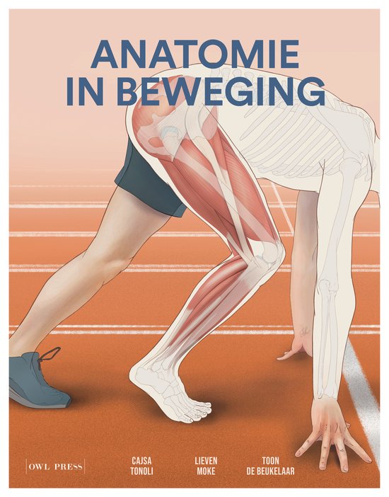 Een illustratie van een menselijk skelet en spieren in de benen, klaar om te starten op een atletiekbaan. "Anatomie in beweging" staat bovenaan.