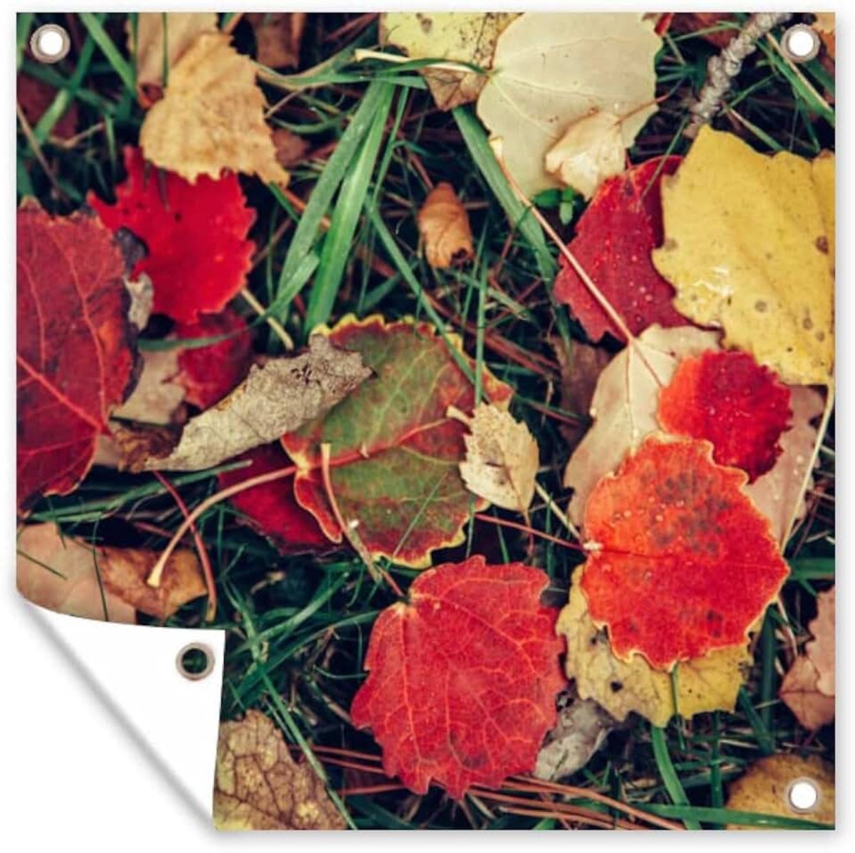 Tuinposter - 200x200 cm - Bladeren - November - Herfst - Natuur