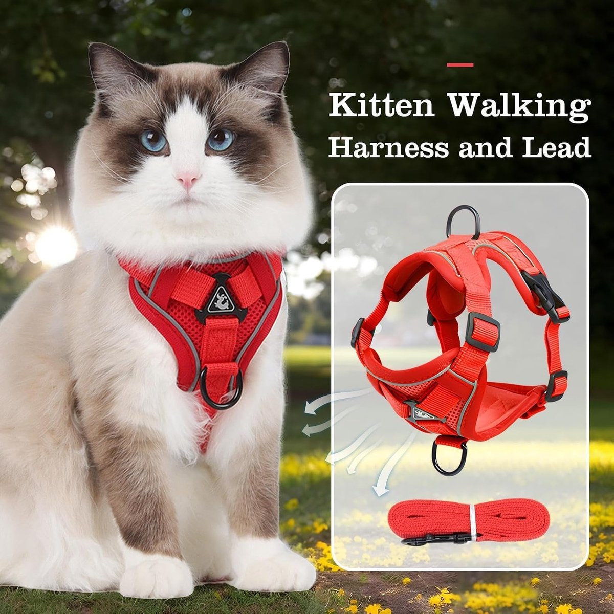 Kattenharnas met Riem - Huisdier Tuigje - Veilig Wandelen - Ontsnappingsbestendig Ontwerp - Maat L - Rood