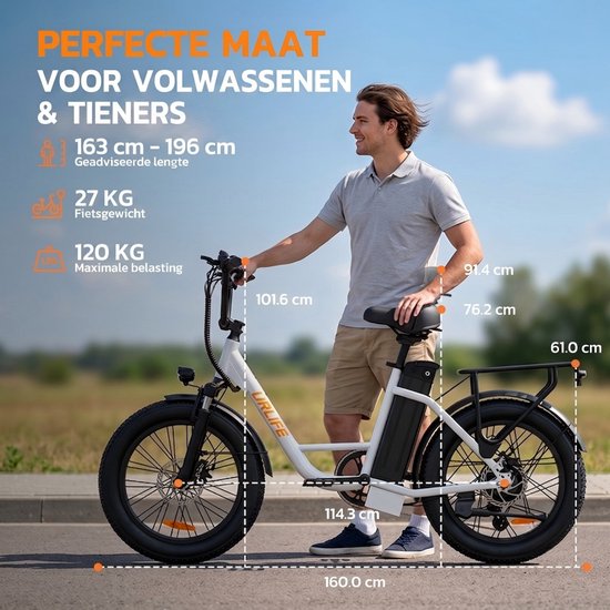 URLIFE E20 20" x 3 elektrische fiets met uitneembare 48 V 13 Ah-accu — afbeelding 5