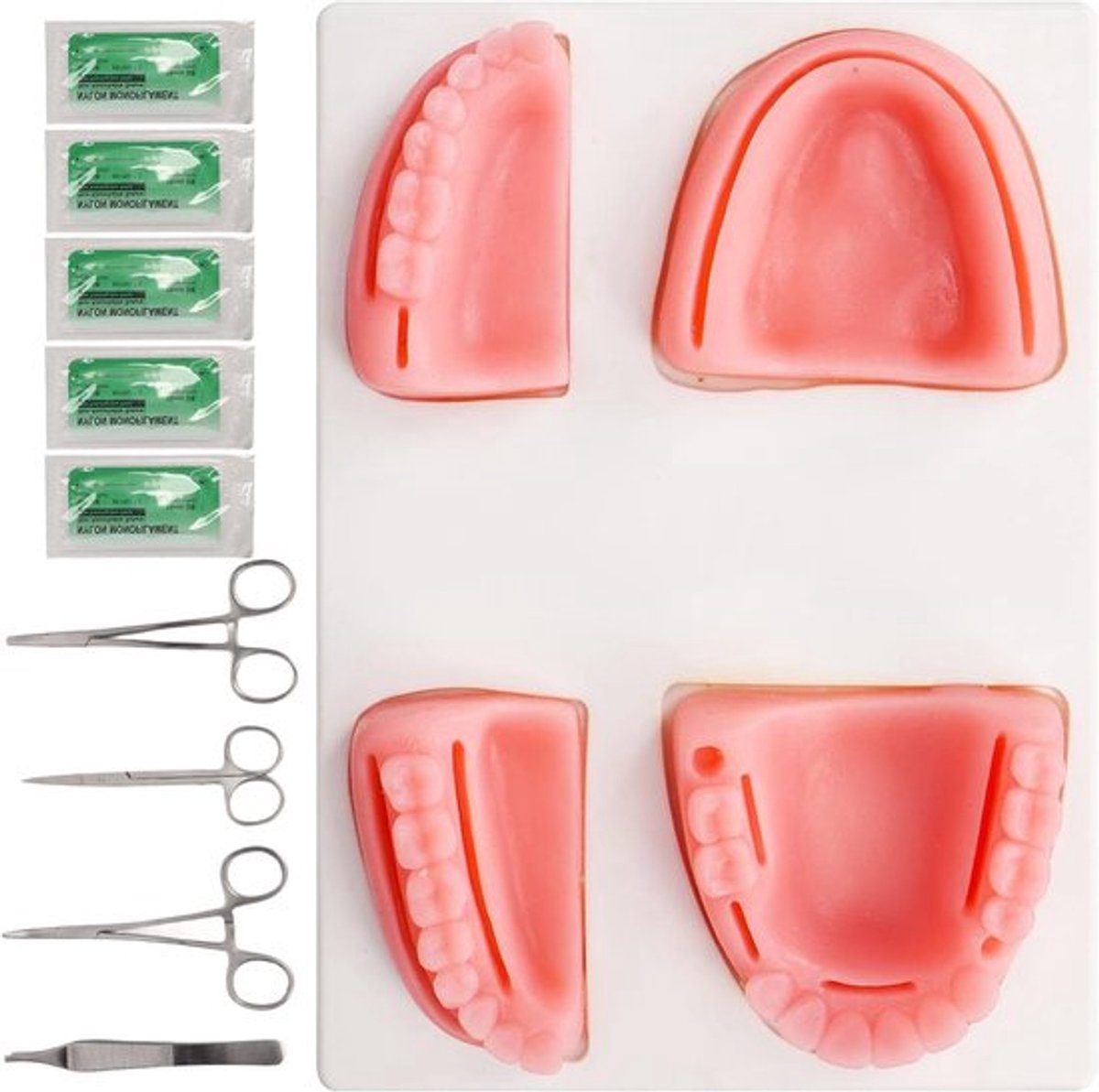 Training Set voor Tandheelkundige Naad, Silicone Model met Pliers en Tweezers voor Oefeningen, Ideaal voor Tandartsen en Studenten