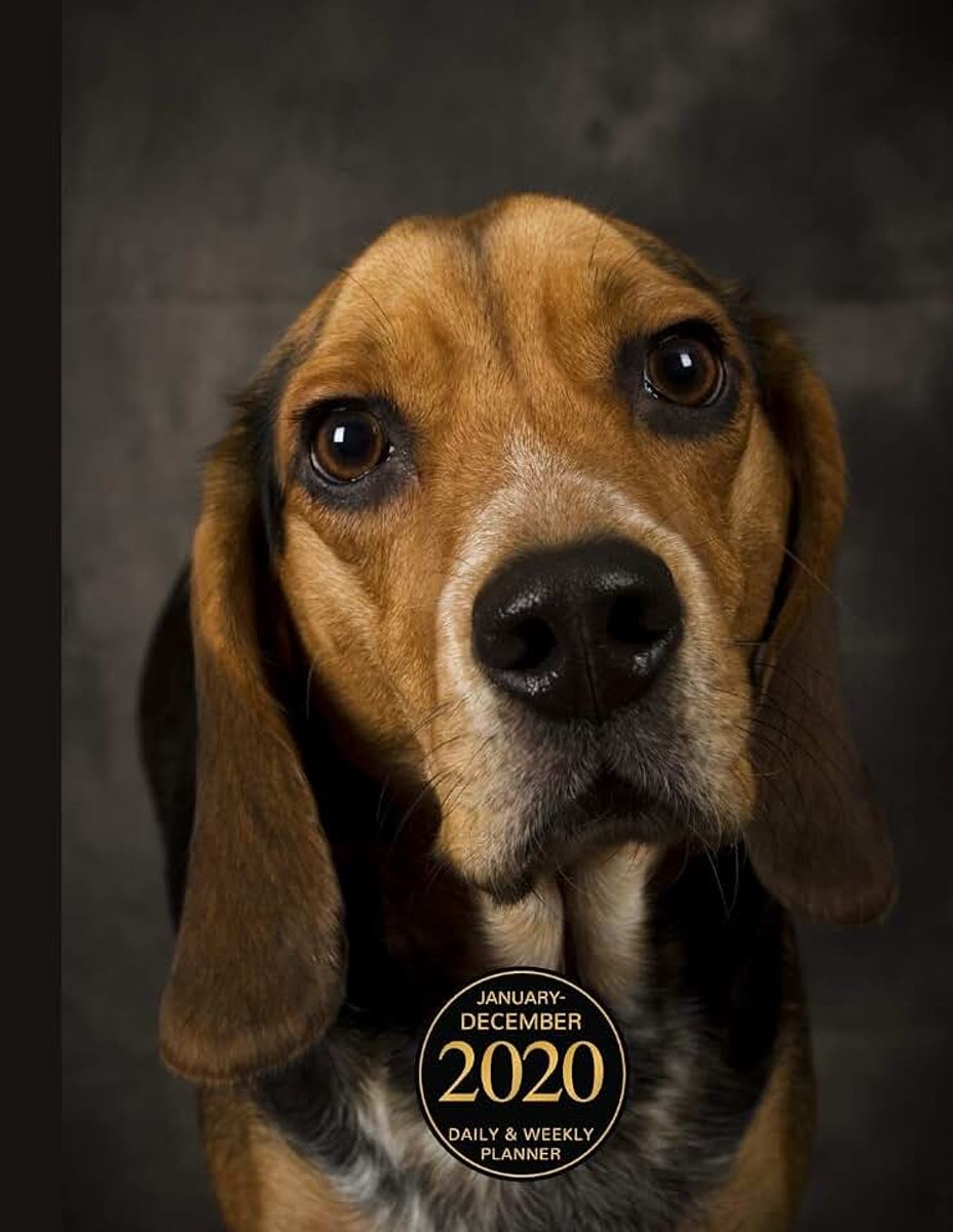 - December 2020 Daily & Weekly Planner: 1 Year Personal Calendar; Cute Beagle