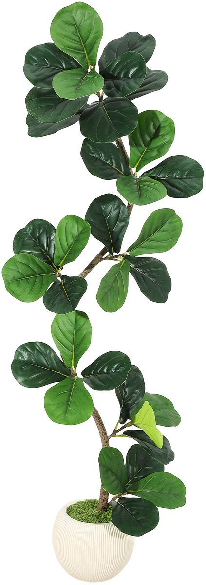 150cm Realistische kunst‑Vioolbladvijgboom – weelderige kunstvloerplant voor binnen met moderne witte sierpot en siermos – hoogwaardige kunstplant voor thuis, woonkamer en kantoor