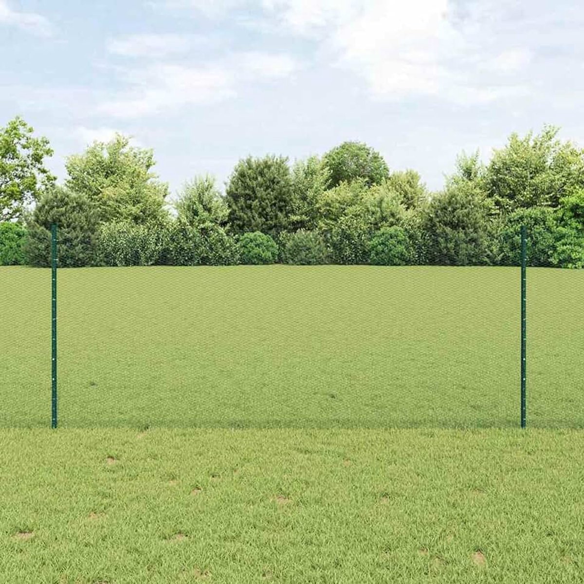 Palen 11 stuks U-kanaal groen 100 cm staal, zeshoekig hek groen 1x50 m staal, tuinhekken draadomheining voor hekken, groentebedden, kippenren, weideperceel 3336752