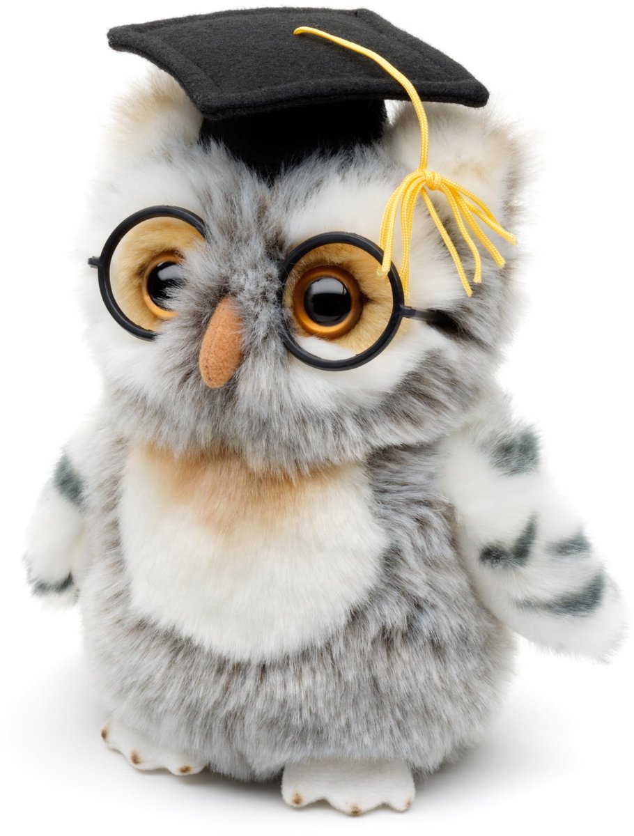 - Uil (grijs-wit) met doktershoed en bril - 18 cm (hoogte) - pluche vogel - pluche dier, knuffeldier