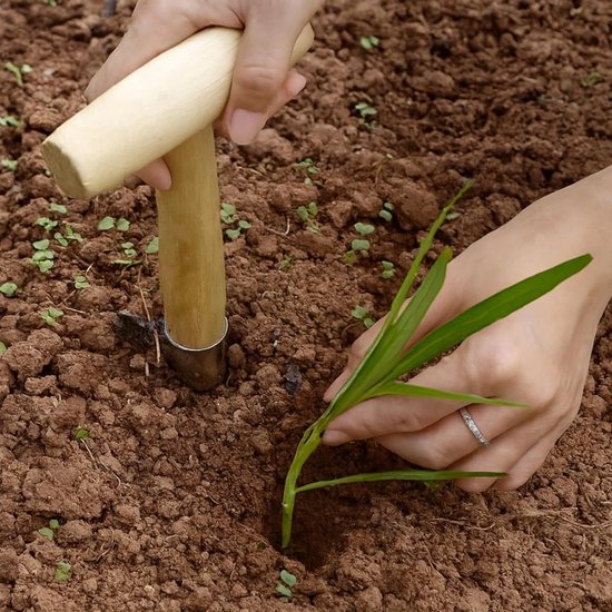 Bloembollen plantgereedschap - Tuin zaad planter - Planten in de tuin - Verchroomd stalen punt - 28 x 11 cm — afbeelding 2