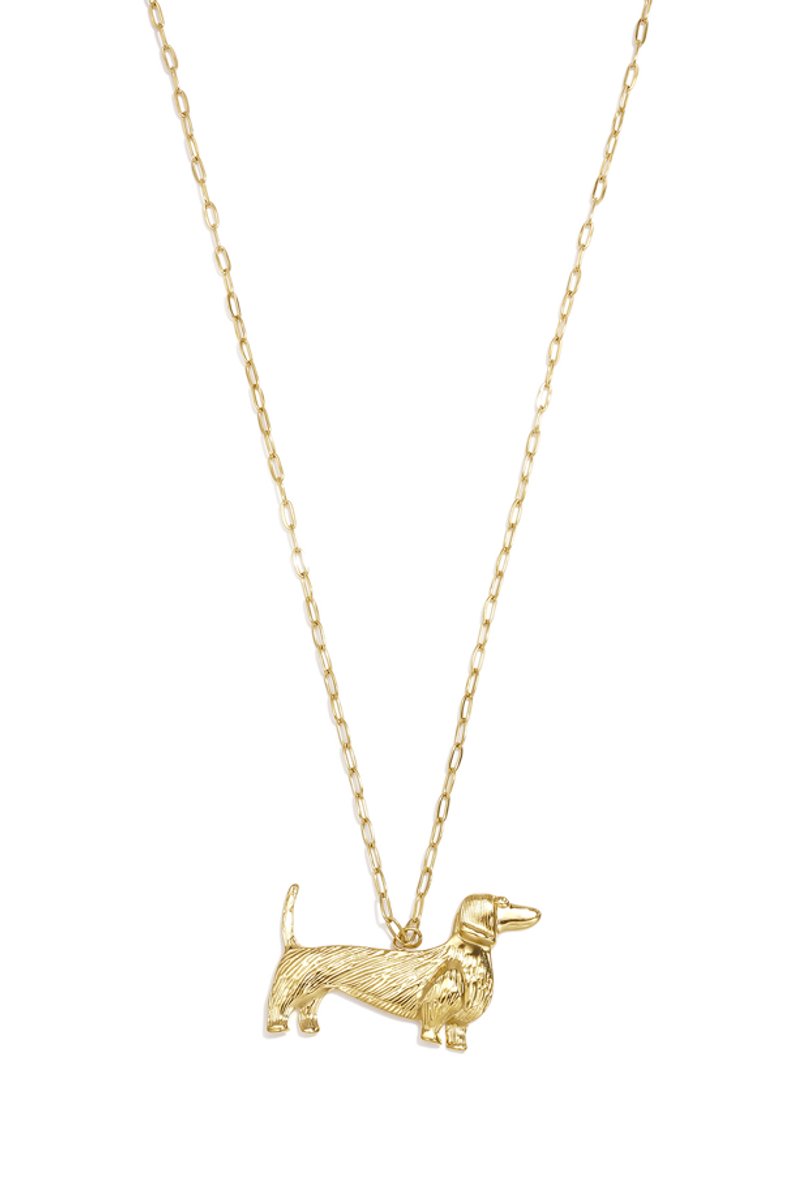 Lange Roestvrijstalen Ketting met hanger teckel - Hond – RVS - Goud