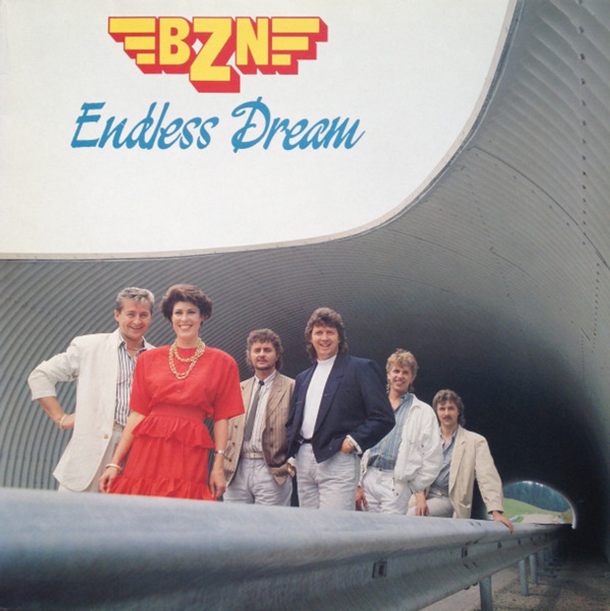 BZN - Endless Dream (LP VINYL)
