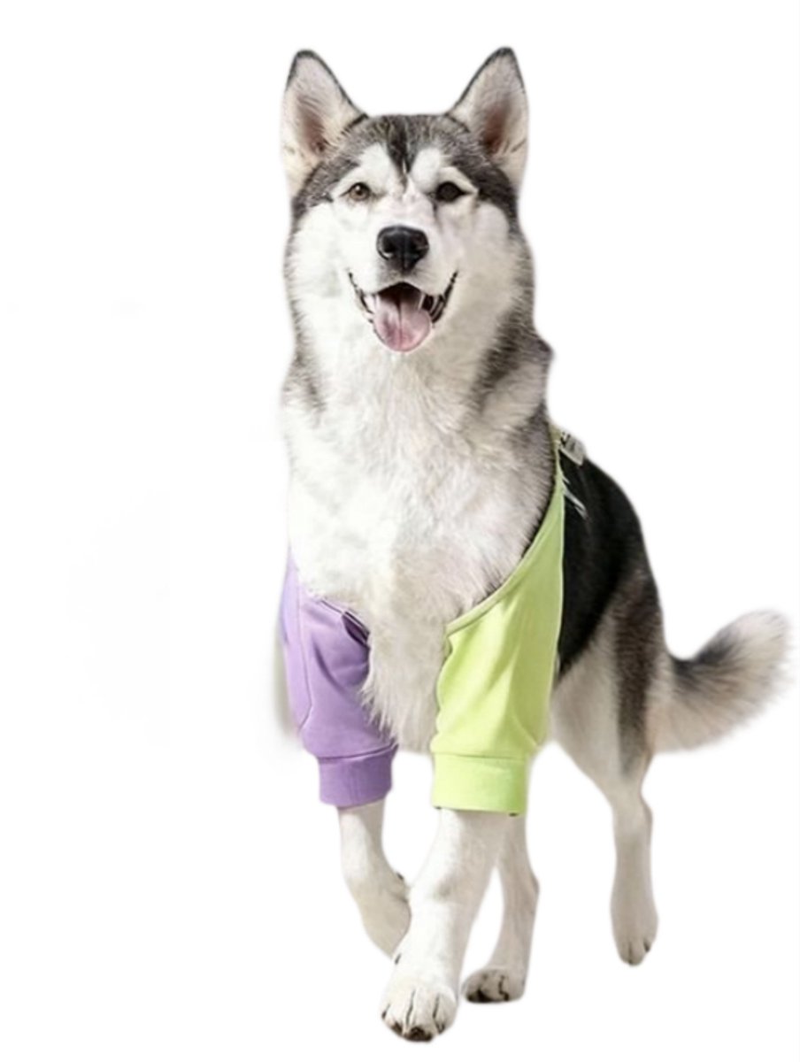 Elastische Elleboogbandage voor Honden, Beschermende Sleeve met Contrasterende Kleuren, Draagbare en Slijtvaste Elleboogbeschermer voor Honden het Hele Jaar Door